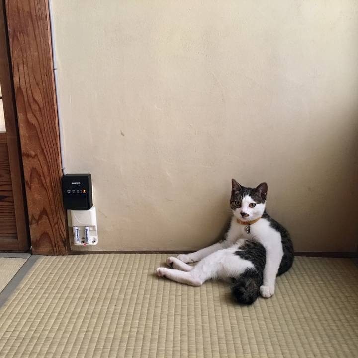 Dd10e853 b8b9 49aa 8805 6adce4acb92d