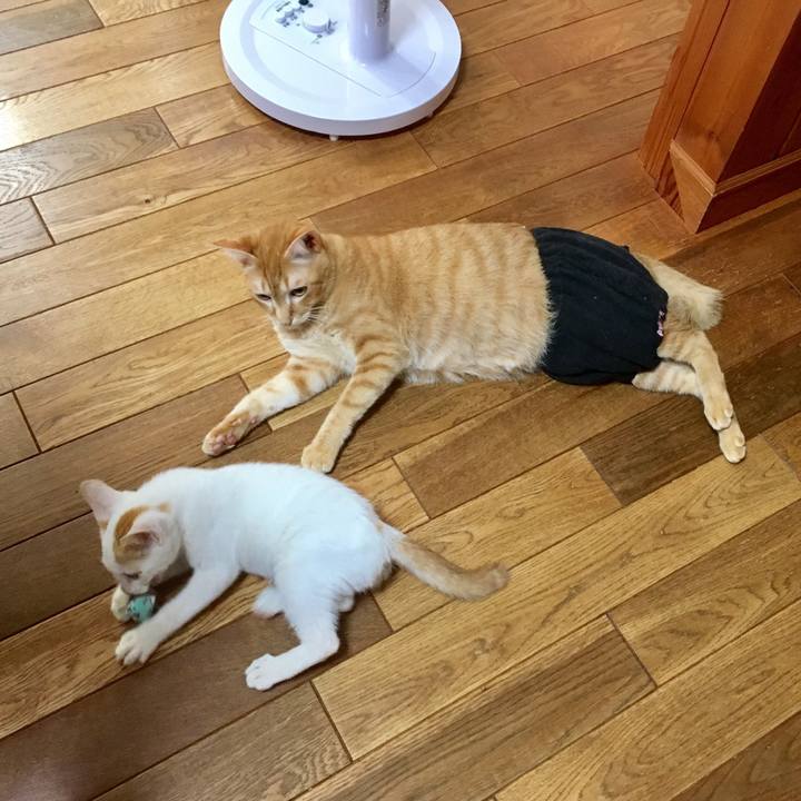 Dd11411b 8d92 4692 9e8b 14c51d7b6a95