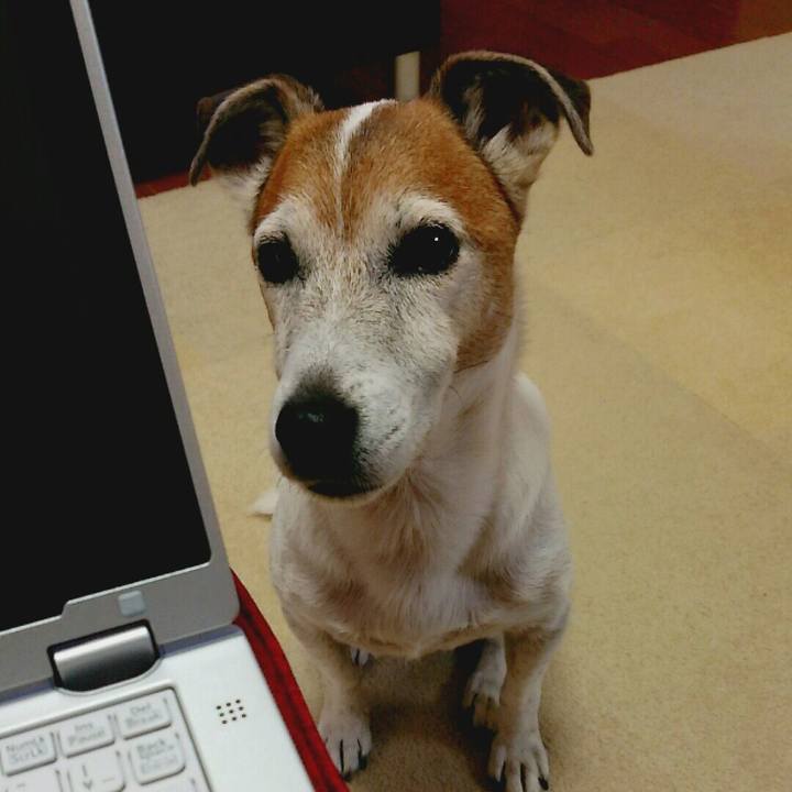 Dd114ebb 1808 475d 9787 f8c552e15d3b