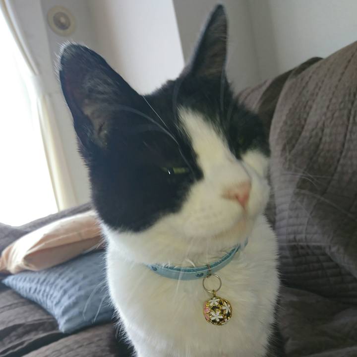 Dd114fa5 882f 4d69 807a 2a776a8bebbd