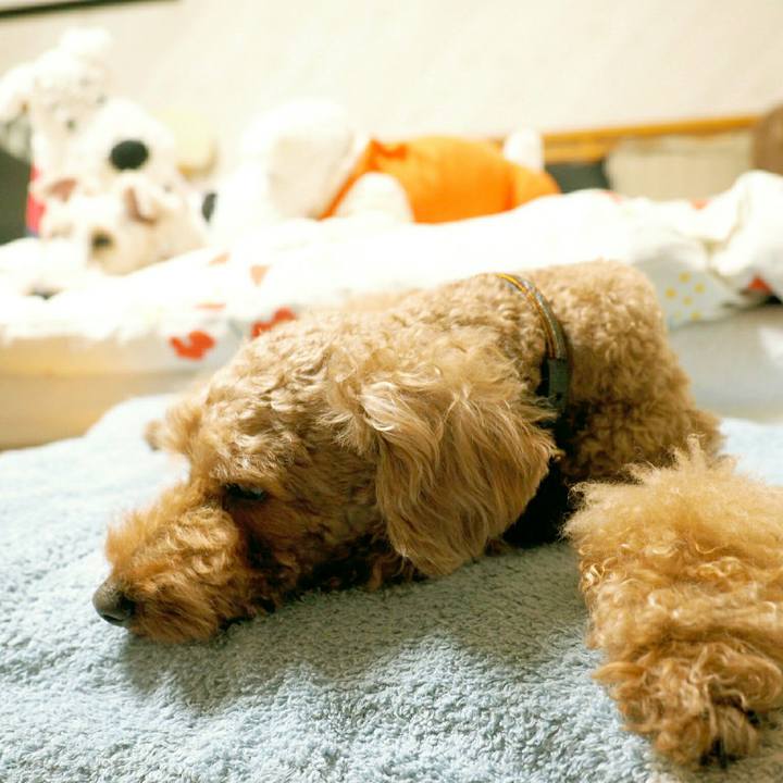 Dd1156fe 8cb8 44e5 a810 3cf79f7e5255