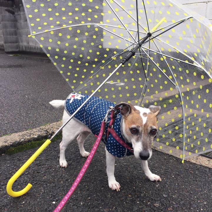 Dd1197d1 419a 4a10 a09d 2408c8890587