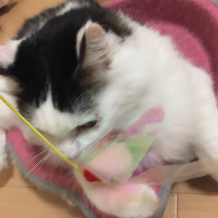 Dd11abb5 8300 43c1 a929 0e3964ed4f5b