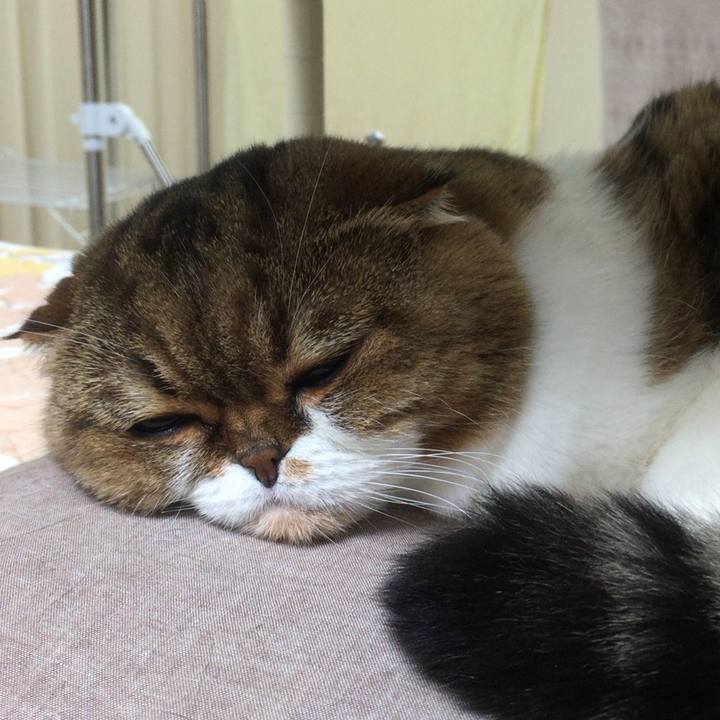 Dd1321f4 cc32 4600 92a4 4f1ac36d0380