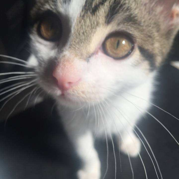 Dd133078 bea9 46a3 9553 bbf33aa369f3