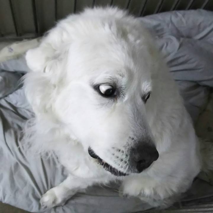 Dd140b56 41a3 4d20 bd44 a619e2381ea3