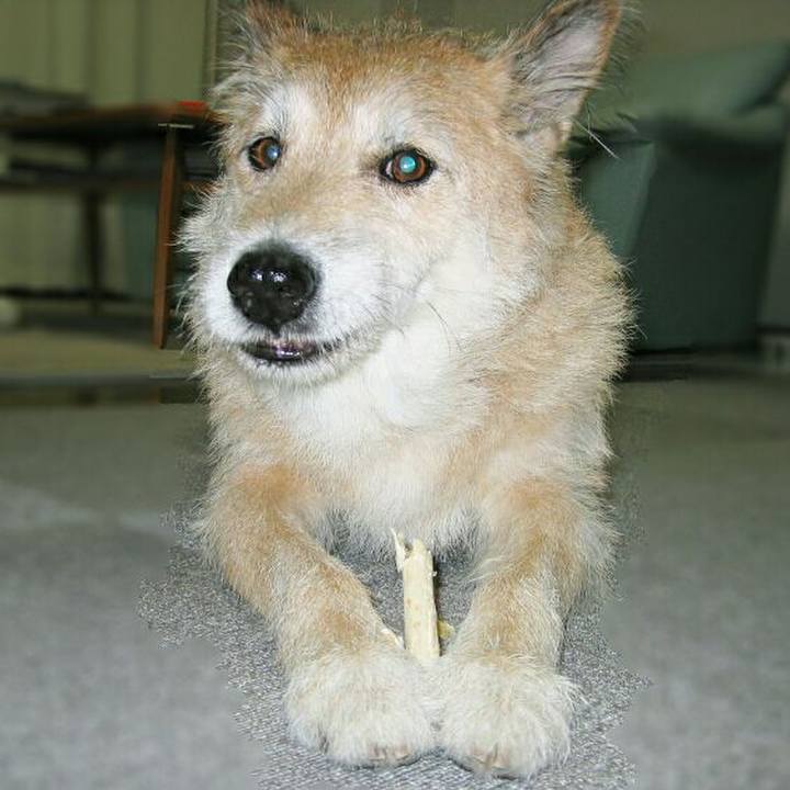 Dd143b20 b16c 44f5 bb7d af31acabd18c