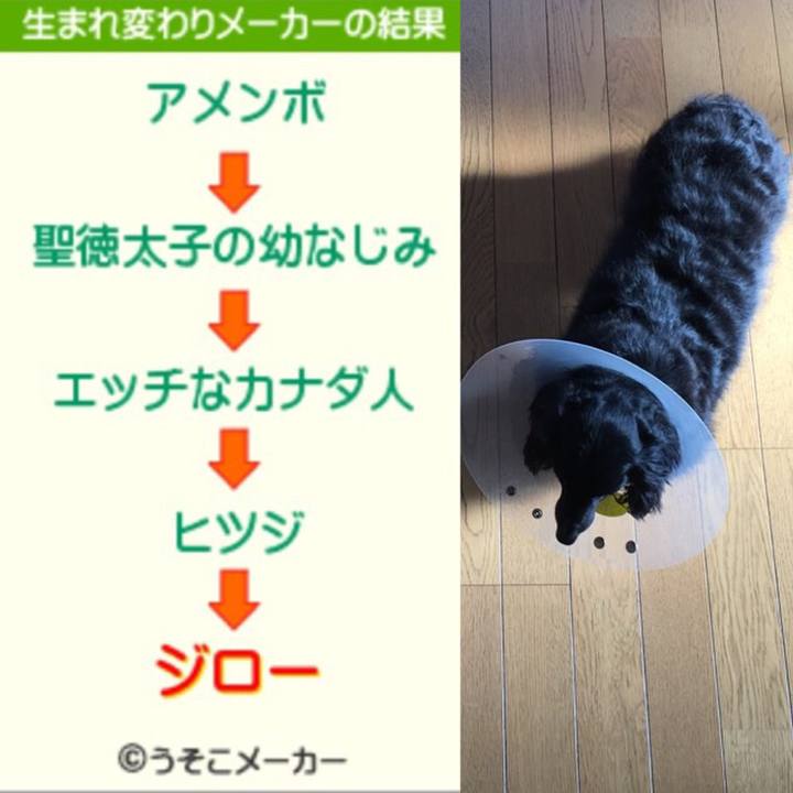 Dd150427 1574 4f3e bc80 14ea7b0833e2