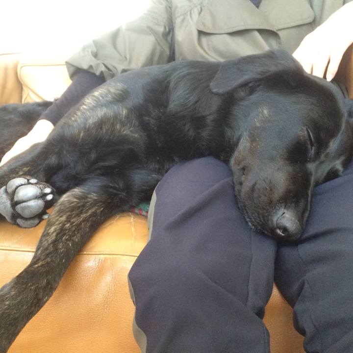 Dd15412c 408d 48bf aaf0 813d558060b6