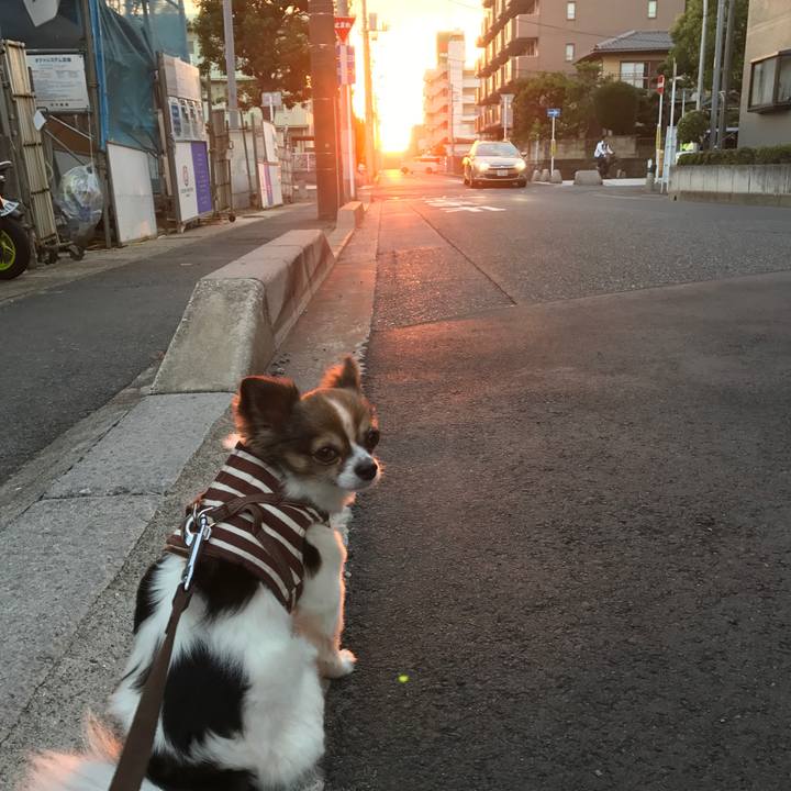 Dd15e8a7 5615 487a 9a76 be1fece31c4f