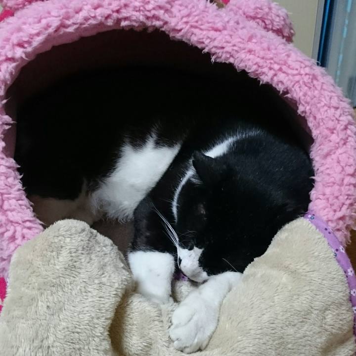 Dd16163c fbb7 42e3 a143 1b083c7e7cc3