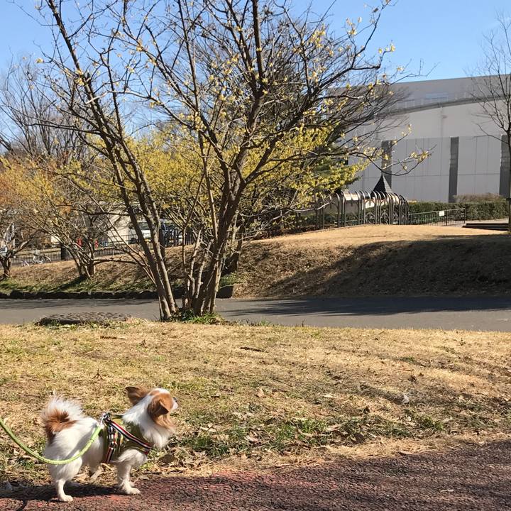 Dd1655d2 d77b 47f5 97c2 806e325aae6e