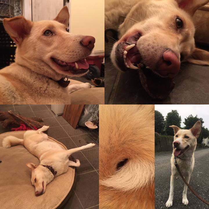 Dd167443 7d23 44b7 9389 96b951b5791d