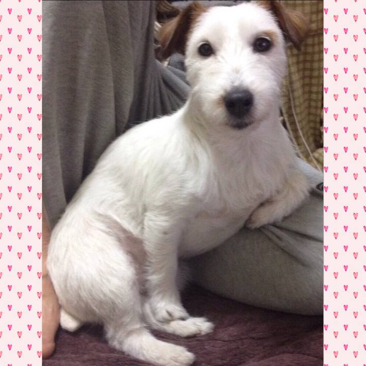 Dd16893f b94a 415f 8e52 c6d1000d8bae