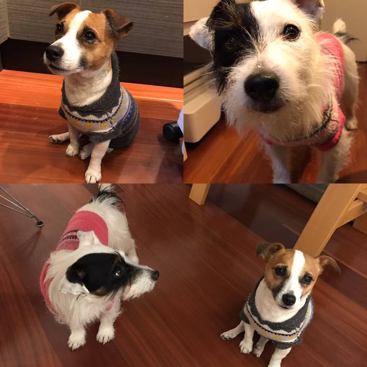 Dd169fec 19d9 426a a002 3110f30baea5