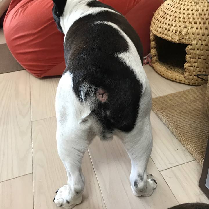 Dd16eb06 7758 4ef6 9692 7088f9f2ea21