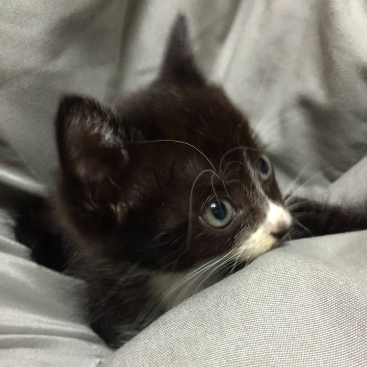 Dd17b1b9 5ab9 4d91 8f4a ca7dc48ee7ff