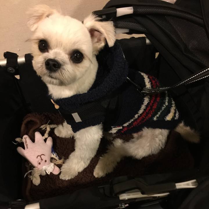 Dd18054a e342 4d5e b76c 461220a3e987