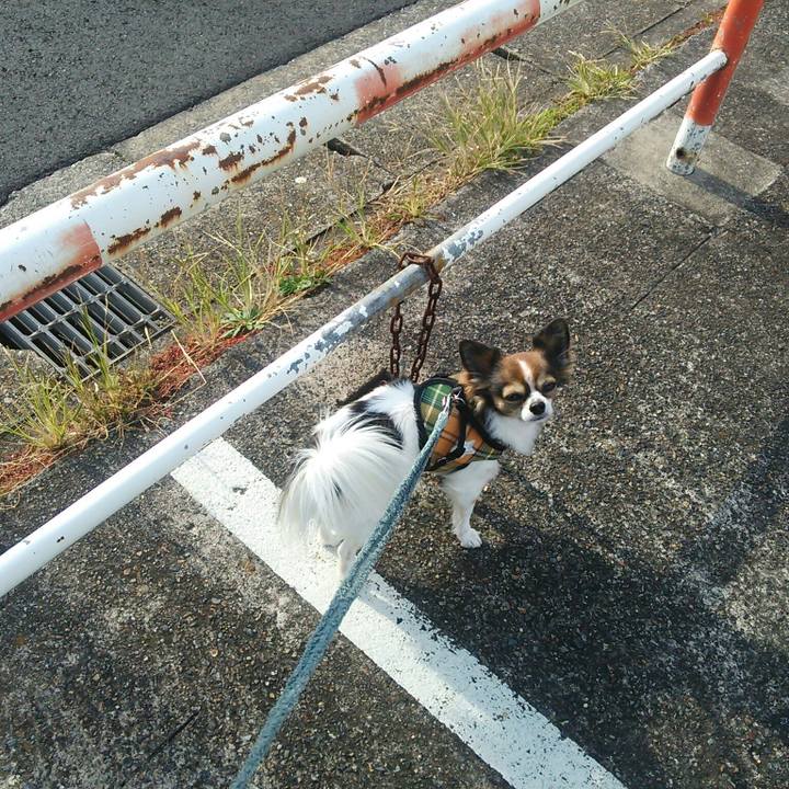 Dd1843ea 65f9 47dd b1a9 497f52d4e77d