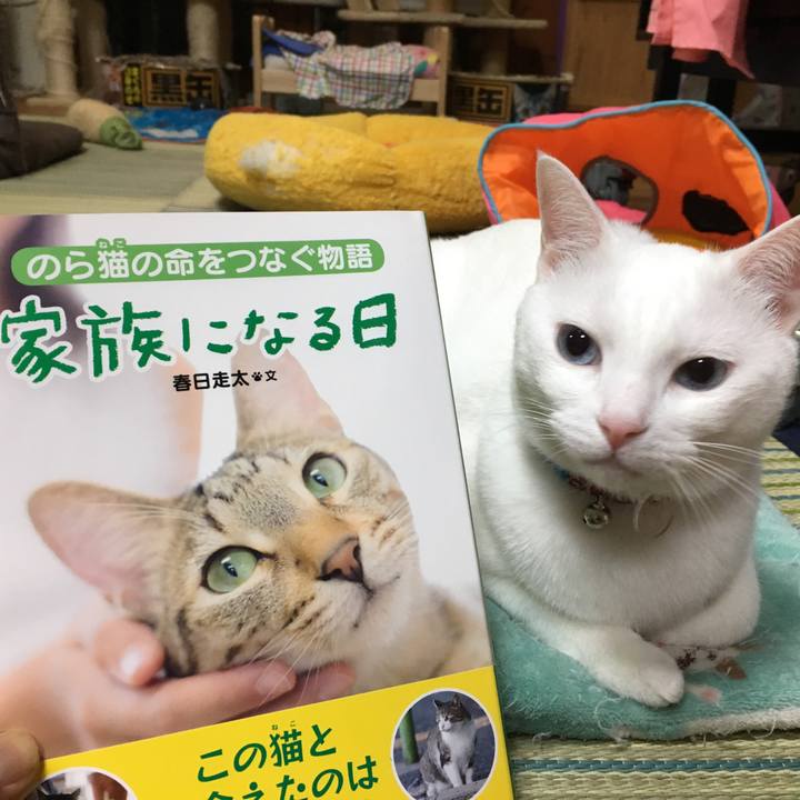 Dd189253 352b 4eb0 a1da 046ccece7e8a