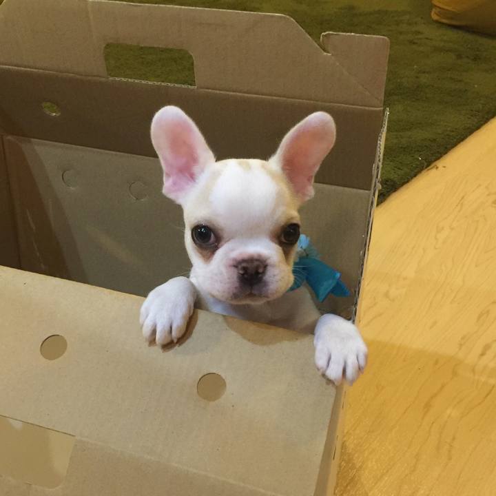 Dd18ae15 1cc4 4291 b457 7ab48fb91db3