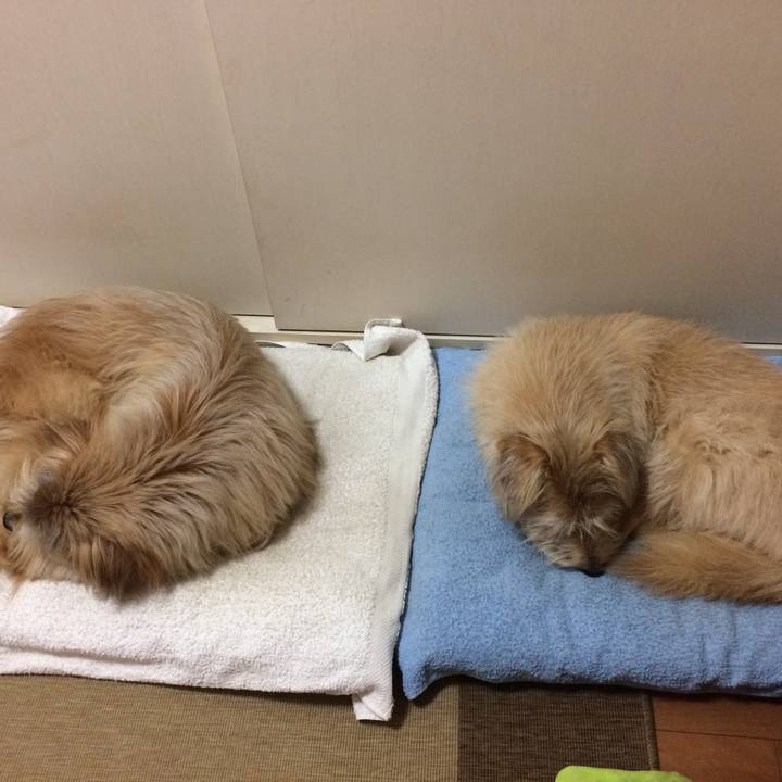 Dd195d03 cd0a 42f9 92be 2383127afce8