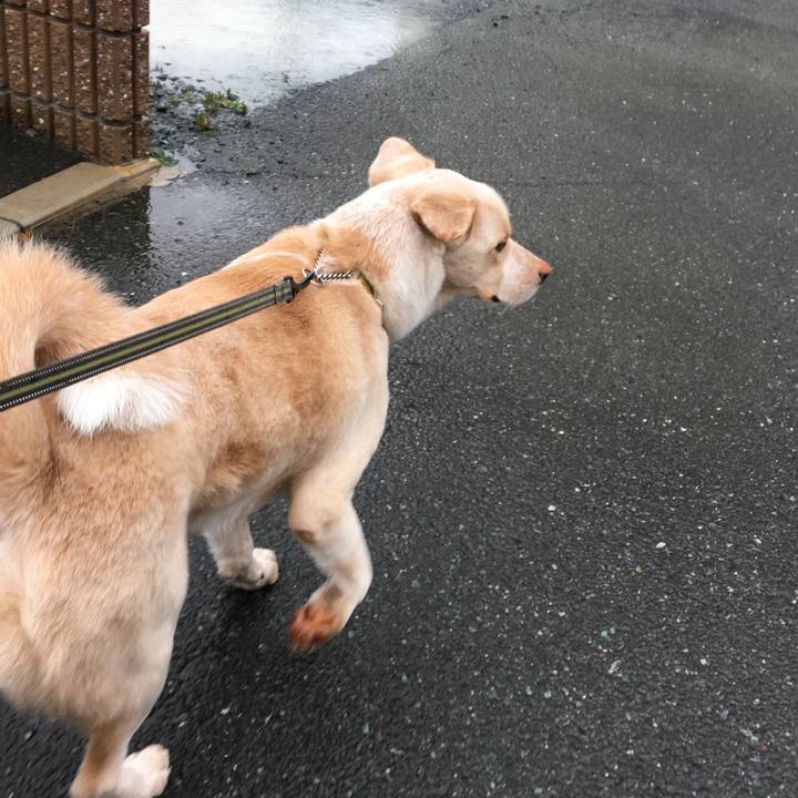 Dd19d528 1806 4d4d bc85 63daf5e5b23b