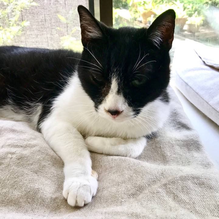 Dd1a53c0 cdfe 4aaf ad8d ec7f3f0f03a3