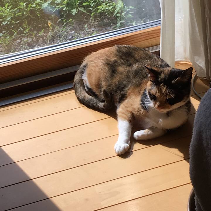 Dd1aa679 69d1 4f6b b2f5 7c7878badd2e