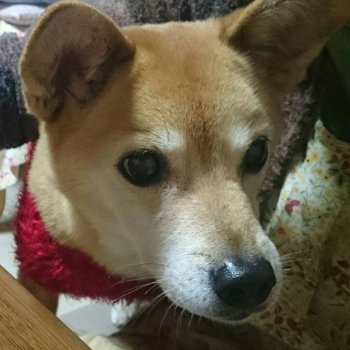 Dd1bd17b 12cc 41e4 af5f ad46c8948f3c