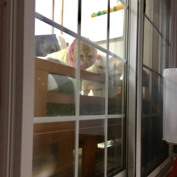 Dd1d6e0d f9e2 44d8 b1e7 e713a1486102