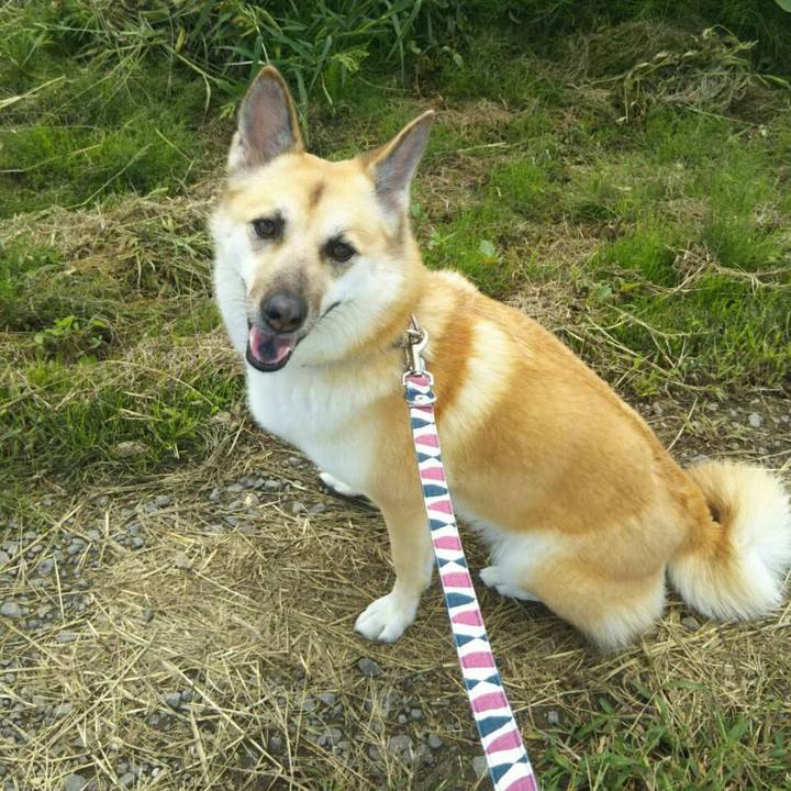 Dd1dee4c ec07 4339 821b e21d699af61a