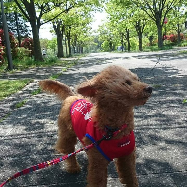 Dd1e3582 3953 43f0 9254 ed39f0eb9f8a