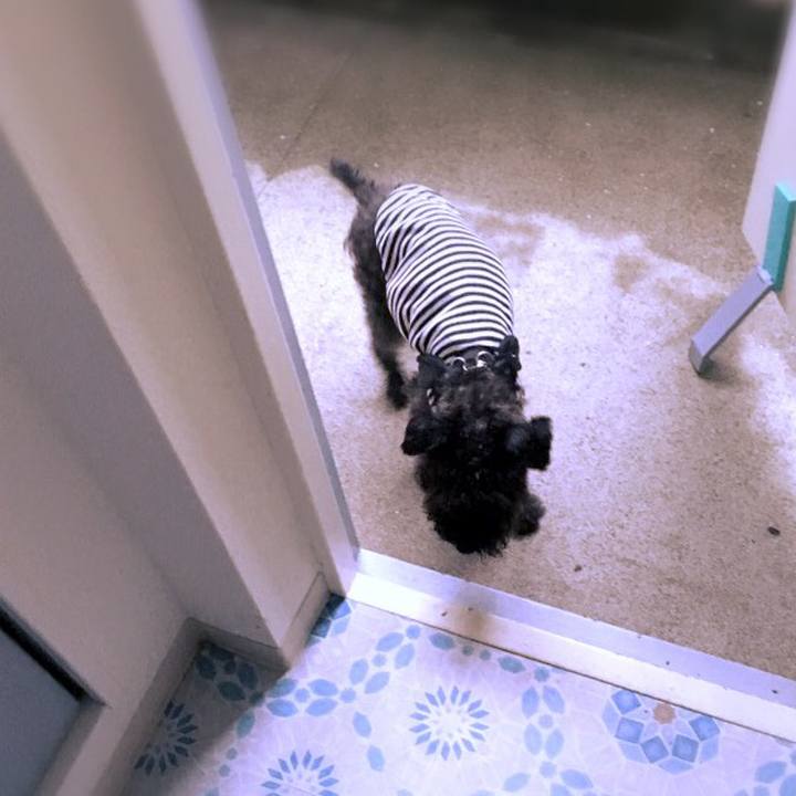 Dd1e6225 9873 43f0 9a55 fc2ee915f8a1