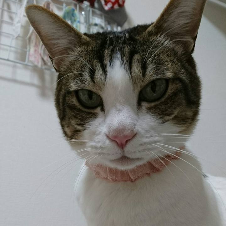 Dd1ed9b4 c61f 433b 92f1 936acbf13a00