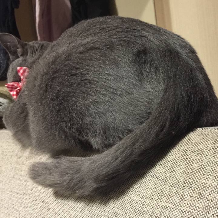 Dd1ee7c9 c3ea 46b3 8395 83a1469d6561