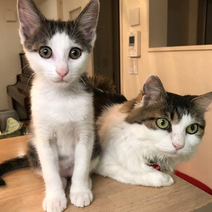 Dd201243 2d78 4493 a458 2dfdcb9ff9d4