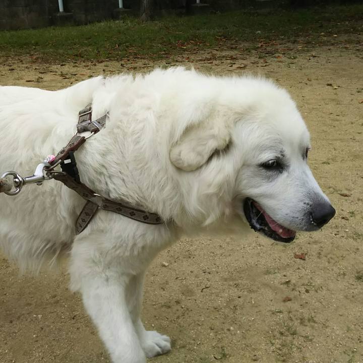 Dd201bb0 6485 45a4 9a0a c7f93048af06