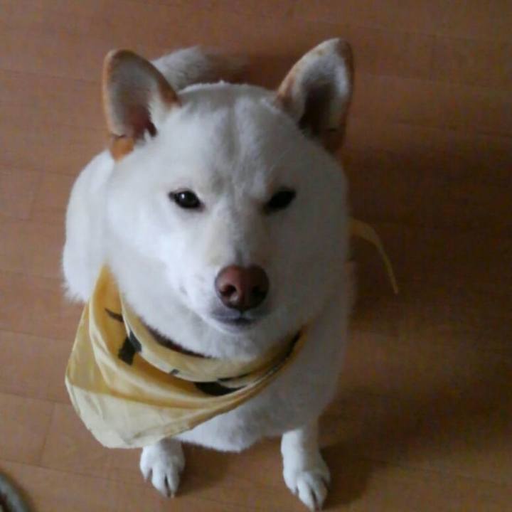 Dd203092 e608 43a3 b4a0 d31ca8825d8a