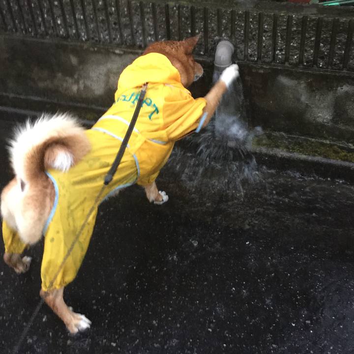 Dd2270ab 821d 483f 848b 0b1036f7b0db