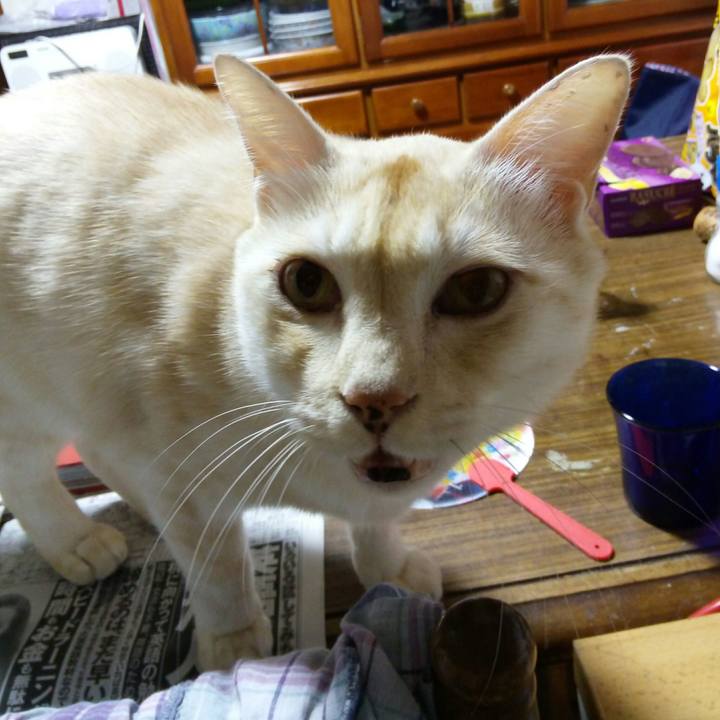 Dd22afc5 60a9 440f 9bde cc8b74d806c8