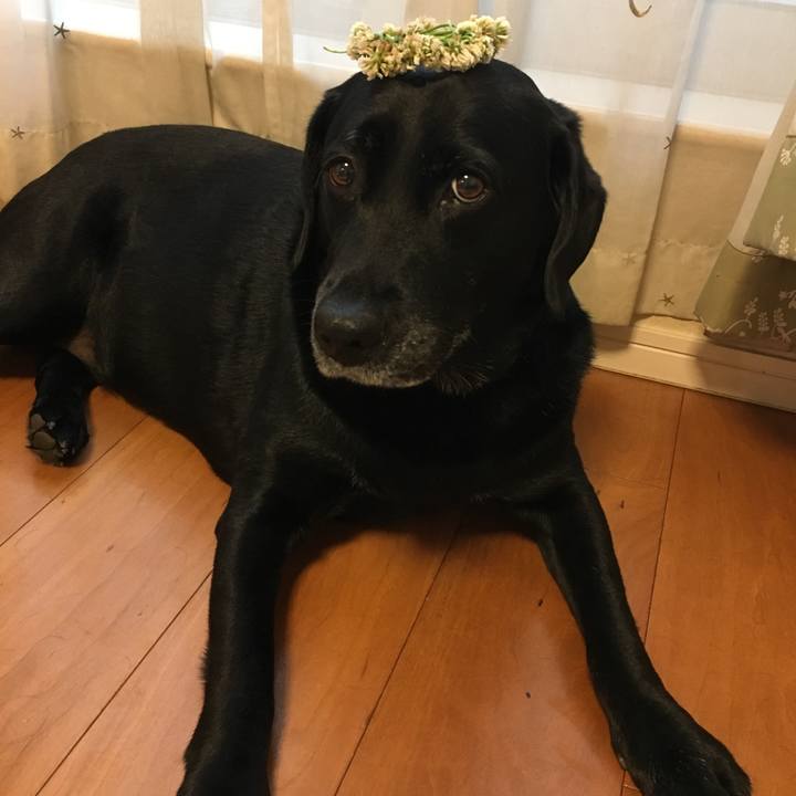 Dd236681 caaa 4a21 9a47 0a9736bfb7c5