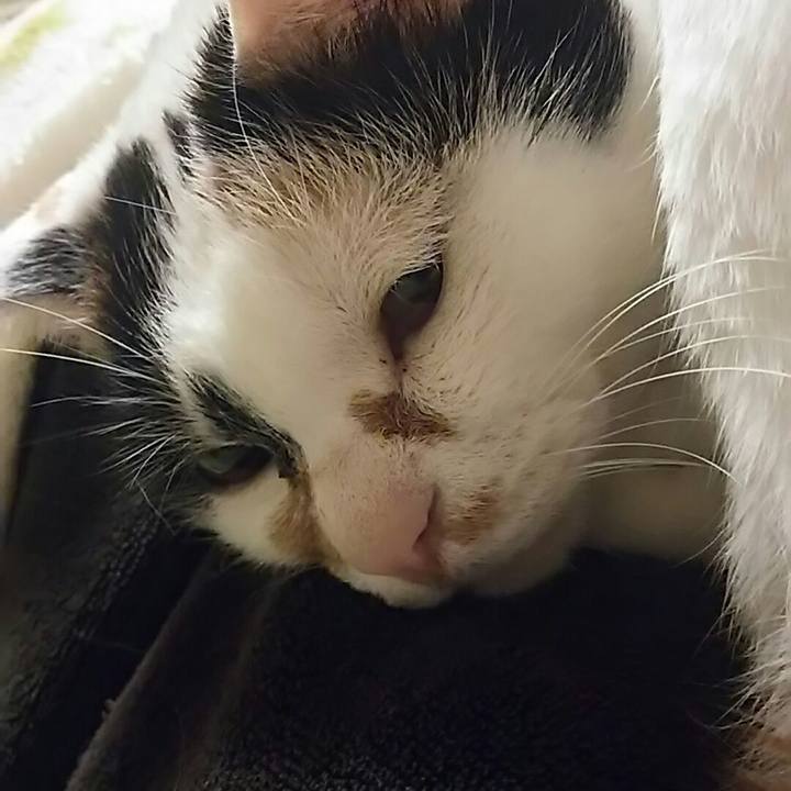 Dd23a76e ab54 471e 9d06 f0cc2649eda0