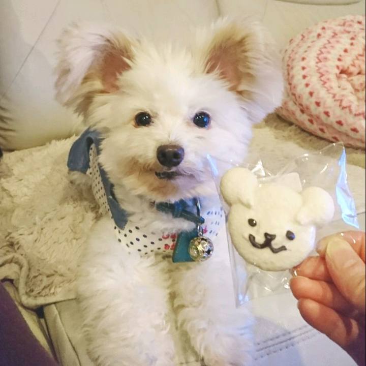 Dd23c134 24f0 4bcb a468 11e34e3277fb