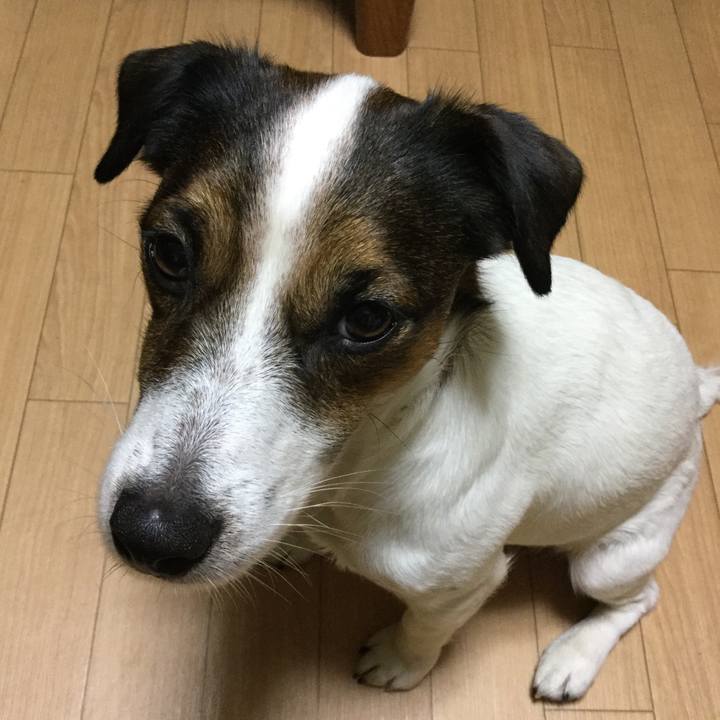 Dd24847f 0a2f 4a74 9f45 cf2fdf517d7b