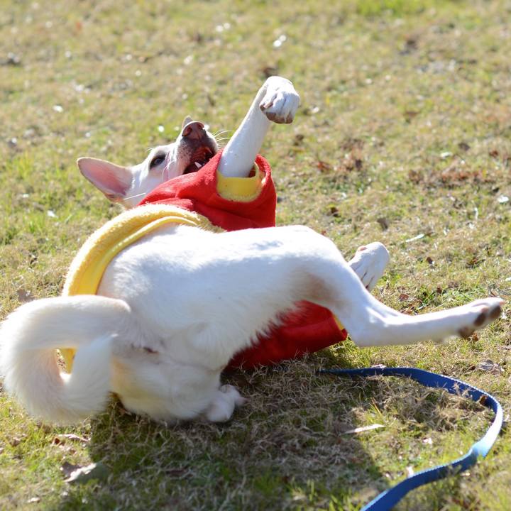 Dd254804 9ecb 4b2c a23e c90014f882ef