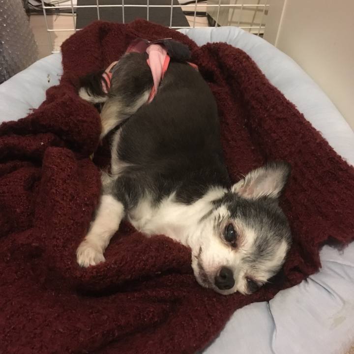 Dd25ad86 2df9 42af b267 f3cd1de36fcb