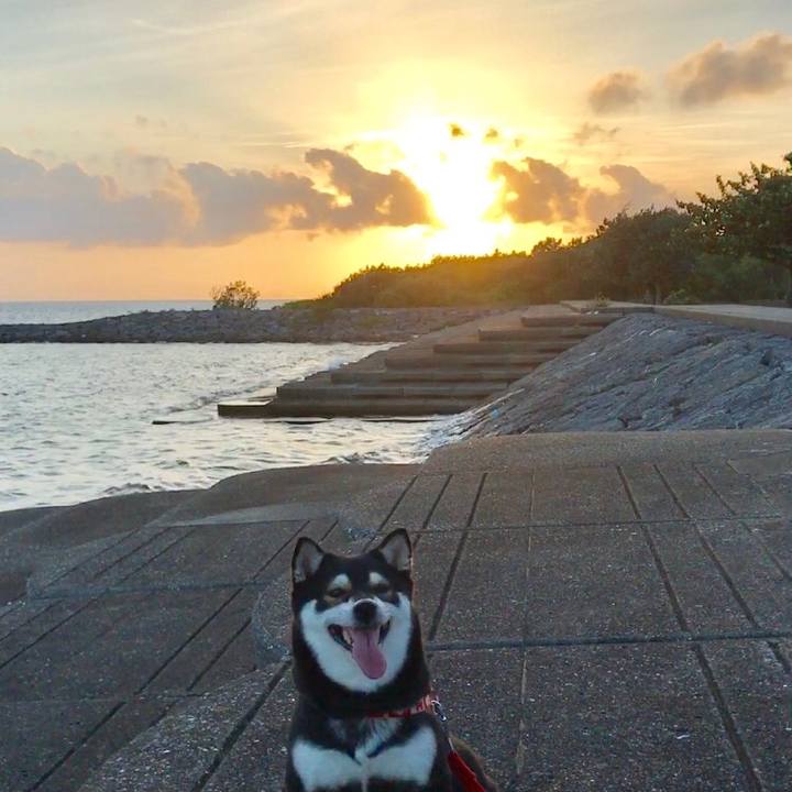 Dd260e76 af09 4d6c a740 3e147580809d