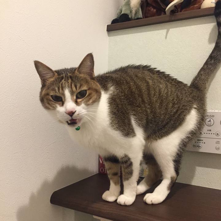 Dd263887 b350 4fba 8b79 1d783318ead7