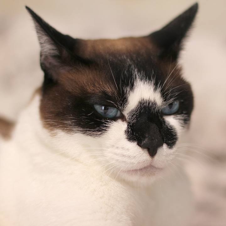 Dd266f78 2701 4d7f a9b7 717d69f807f7